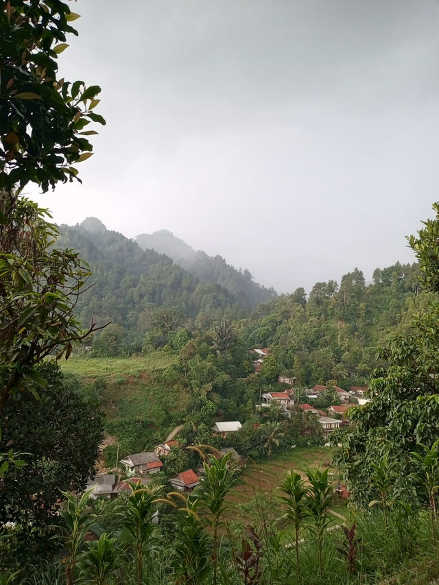 Permukiman warga di sekitar Bukit Panisan, Sentul, Bogor. Lanskap ini mengingatkan kita bahwa manusia hidup berdampingan dengan alam dan berbagai potensi risikonya.Dokumentasi pribadi, 2025.