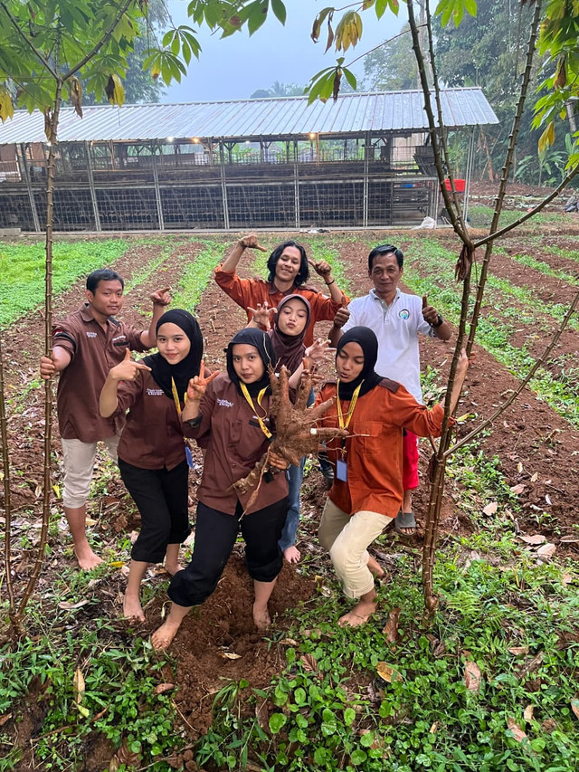 Penanaman bibit di lahan BUMDes Desa Ciadeg.Sumber: Dokumentasi KKN, 2026.