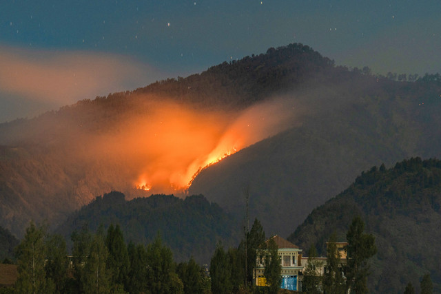 Suasana api membakar kawasan hutan di lereng Gunung Semeru, kawasan Taman Nasional Bromo Tengger Semeru (TNBTS), Lumajang, Jawa Timur, Senin (31/8/2026). Foto: Irfan Sumanjaya/ANTARA FOTO
