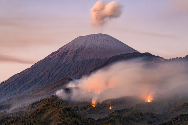 Suasana api membakar kawasan hutan di lereng Gunung Semeru, kawasan Taman Nasional Bromo Tengger Semeru (TNBTS), Lumajang, Jawa Timur, Senin (31/8/2026). Foto: Irfan Sumanjaya/ANTARA FOTO