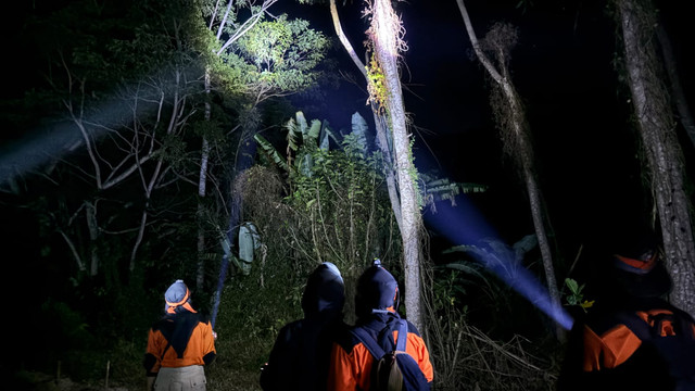 Foto tim pengamatan melakukan kegiatan pengamatan langsung pada malam hari (direct nocturnal observation) untuk mencari dan mengidentifikasi keberadaan Kukang Jawa di Blok Lodadi, Taman Nasional Meru Betiri. (Sumber : Dokumentasi Netra Nocturna Expedition UIN Syarif Hidayatullah Jakarta)