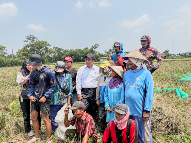 Mentan Amran saat sidak di Karawang, Senin (31/8/2026). Foto: Argya Maheswara/kumparan