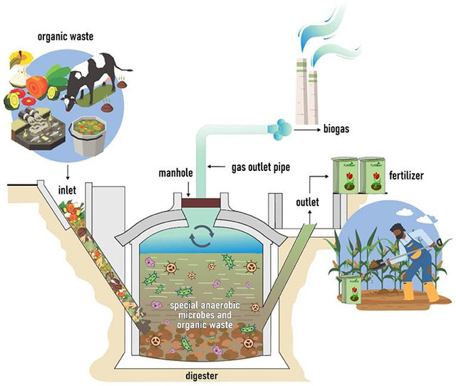 Pengolahan limbah organik melalui proses anaerobic digestion dapat menghasilkan biogas yang berpotensi dimanfaatkan sebagai sumber energi terbarukan. Iluatrasi AI