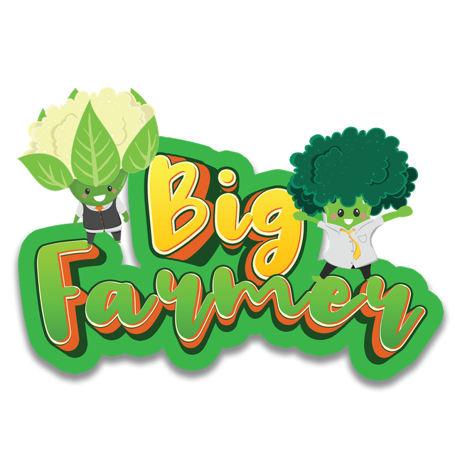 Logo Big Farmer, Sumber : Tim Kreatif Big Farmer, Desa Kertawangi