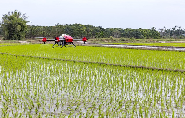 Ilustrasi plant protection drone, agricultural drones, drone. Foto: Pixabay