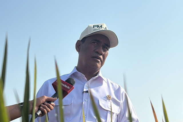 Menteri Pertanian Andi Amran Sulaiman di lahan pertanian Desa Ciasem, Subang, Jawa Barat, Rabu (2/9/2026). Foto: Widya Islamiati/kumparan