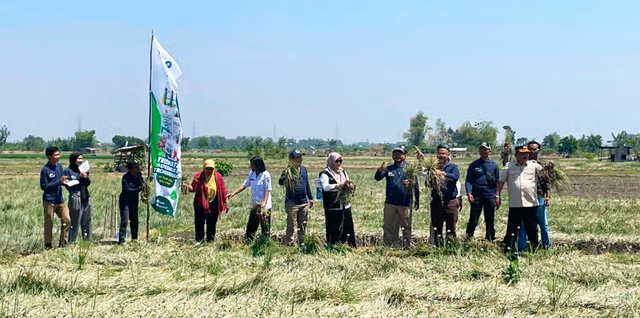 Startup Binaan IPB ‘Planteria’ Tingkatkan Produksi Bawang Merah Hingga 40 Persen