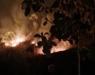 Kebakaran lahan jati milik Tanah Kasultanan di Kapanewon Ponjong, Kabupaten Gunungkidul, Selasa, (1/9). Foto: Dok. Istimewa.