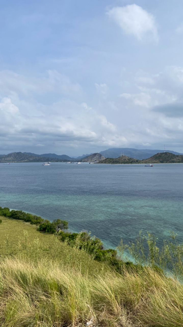 Pemandangan laut yang terlihat dari atas bukit di tengah Pulau Kenawa, Sumbawa, Nusa Tenggara Barat, 24 Maret 2026. Foto: Dokumentasi pribadi/Rea Verdiningsih.
