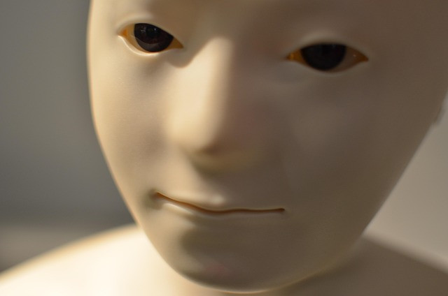 Ilustrasi humanoid, robot, face. Foto: Pixabay