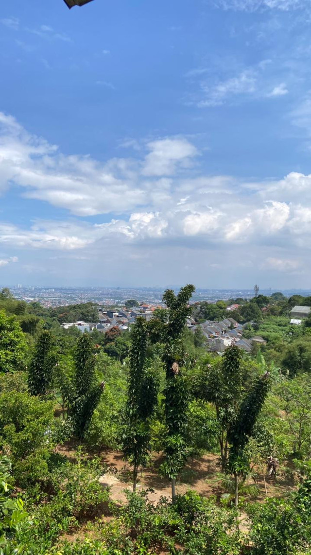 Pemandangan Kota Bandung dan Kabupaten Bandung serta kawasan Taman KEHATI yang terlihat dari menara pantau Taman KEHATI. Foto : Dokumentasi Pribadi/Rea Verdiningsih