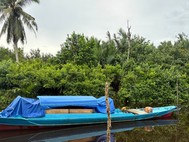 Perahu klotok penyeberangan warga Desa Sungai Cabang menuju kecamatan. Foto: Dok. Pribadi Penulis