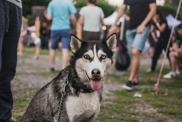 Ilustrasi IIPE 2026 kapan digelar. Foto: Unsplash.com/Krisztian Matyas