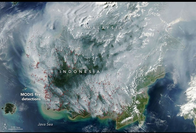 Citra satelit Aqua MODIS menunjukkan kabut asap dan hotspot di Indonesia-Malaysia, 1 September 2026. Foto: Dok NASA Earth