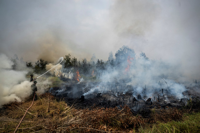 Prajurit TNI berupaya memadamkan api yang membakar hutan dan lahan (karhutla) di Banjarbaru, Kalimantan Selatan, Kamis (3/9/2026). Foto: Bayu Pratama S/ANTARA FOTO