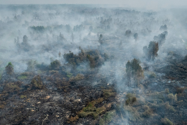 Foto udara kebaran hutan dan lahan (karhutla) di Hutan Lindung Liang Anggang, Banjarbaru, Kalimantan Selatan, Kamis (3/9/2026). Foto: Bayu Pratama S/ANTARA FOTO