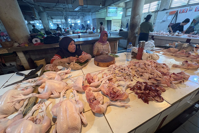 Penjual ayam di Pasar Tebet Timur (PSPT), Jakarta Selatan, Jumat (4/9/2026). Foto: Argya Maheswara/kumparan