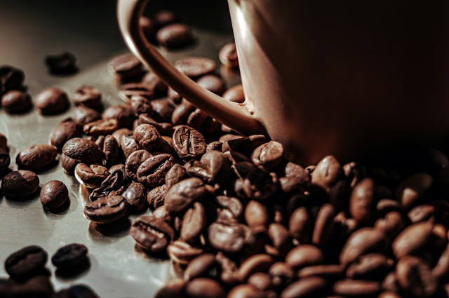 Ilustrasi Benarkah ampas kopi bisa mengusir serangga?. Foto: Unsplash/Ruslan Sikunov