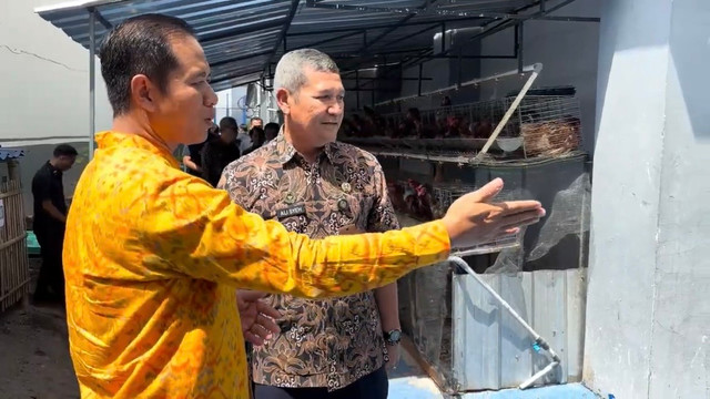 peninjauan budidaya ayam petelur rutan jogja