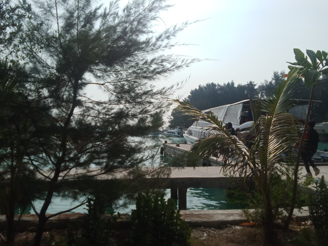 lingkungan hijau, photo by Syafara