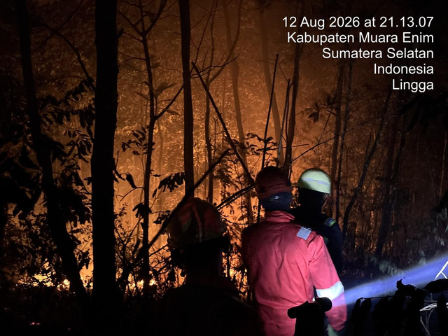 PT Bukit Asam melalui fungsi Accident & Fire Management (A&FM) bantu penanganan Kebakaran Hutan dan Lahan (Karhutla) di Muara Enim, Sumatera Selatan. Foto: Dok. PT Bukit Asam