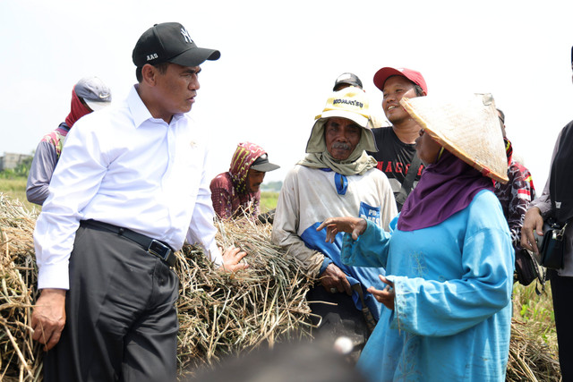 Mentan Andi Amran Sulaiman raih skor kinerja tertinggi di Kabinet Merah Putih versi IndexPolitica Indonesia dengan perolehan skor 91, Selasa (8/9/2026). Foto: Dok. Kementerian Pertanian