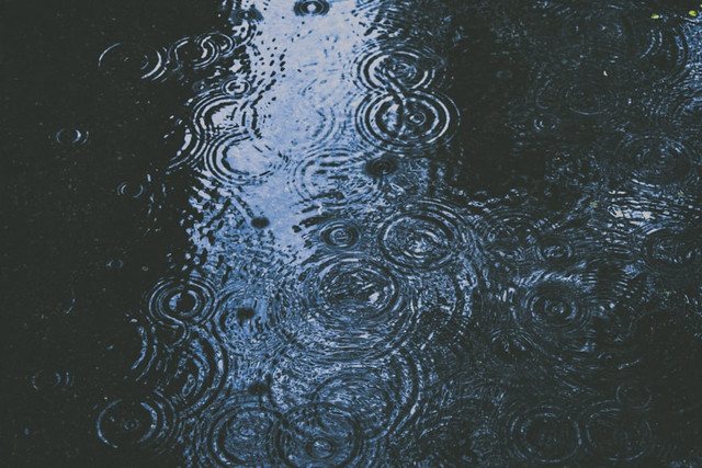 Ilustrasi Kenapa Hujan Memiliki Bau Khas, Foto:Unsplash/Alex Dukhanov