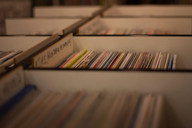 Ilustrasi record shop, vinyl records, music. Foto: Pixabay