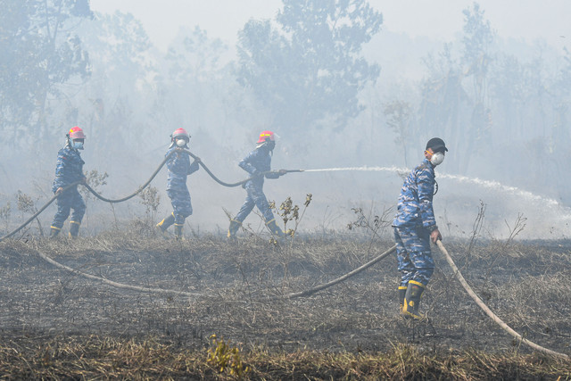 Prajurit TNI Angkatan Udara berupaya memadamkan kebakaran hutan dan lahan (Karhutla) di lahan gambut, Kota Banjar Baru, Kalimantan Selatan, Kamis (10/9/2026). Foto: Asprilla Dwi Adha/ANTARA FOTO