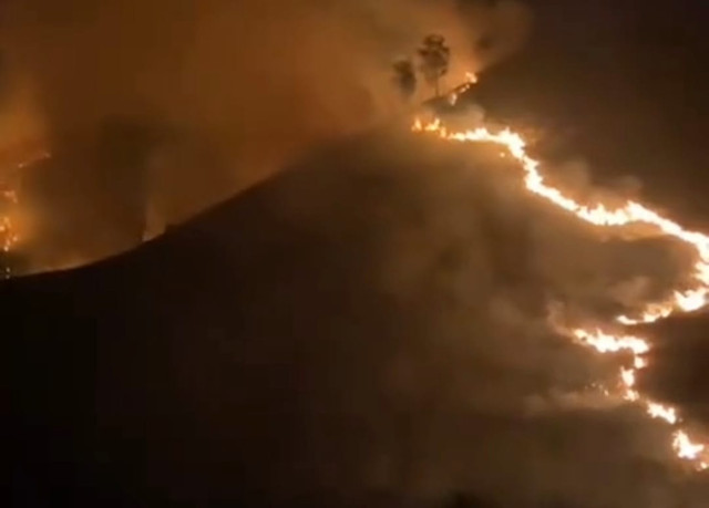 Kebakaran Gunung Bromo, Kamis (10/9/2026). Foto: Dok. Istimewa