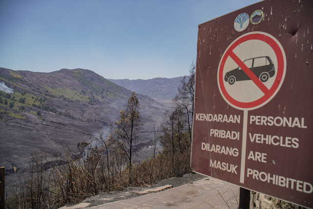 Kondisi vegetasi yang terdampak kebakaran di kawasan Taman Nasional Bromo Tengger Semeru (TNBTS), Kabupaten Malang, Jawa Timur, Minggu (13/9/2026). Foto: Irfan Sumanjaya/ANTARA FOTO