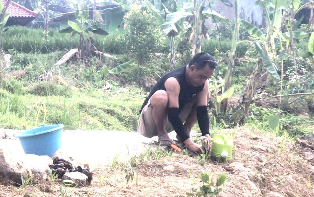Pak Darto pensiunan