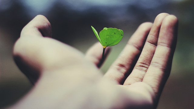 Ilustrasi Apa Arti In Another Life,Foto:Unsplash/name_ gravity