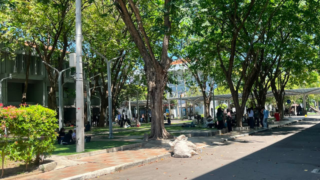 Suasana lingkungan Universitas Airlangga di Surabaya, Jawa Timur, yang menjadi bagian dari aktivitas akademik dan kehidupan mahasiswa. Foto: Dokumentasi pribadi Javier Lilo Mahardika.