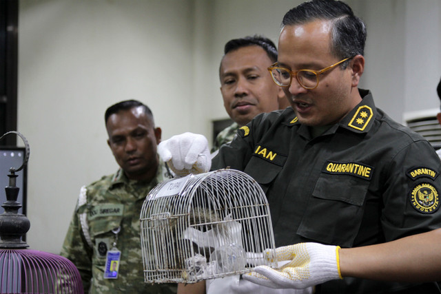 Plt Kepala Balai Karantina Hewan, Ikan dan Tumbuhan Jawa Timur Hudiansyah Is Nursal menunjukkan barang bukti seekor tupai saat pengungkapan kasus penyelundupan satwa di Balai Karantina Hewan, Ikan, dan Tumbuhan Jawa Timur, Juanda, Selasa (15/9/2026). Foto: Umarul Faruq/ANTARA FOTO