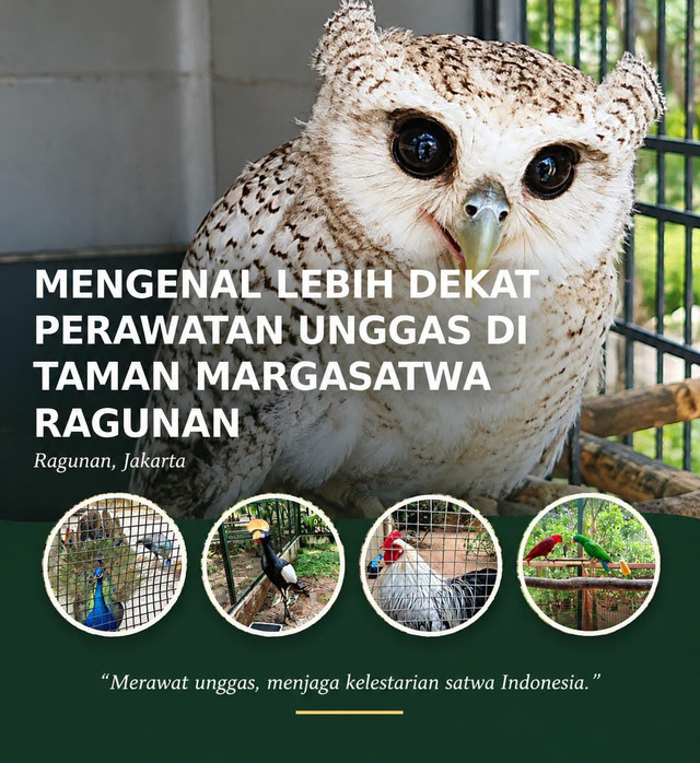 Sumber: Dokumentasi Pribadi.