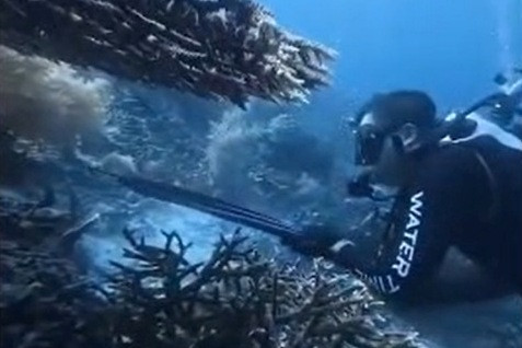 WN China saat membunuh penyu di Raja Ampat, Papua. Foto: Ditjen Imigrasi