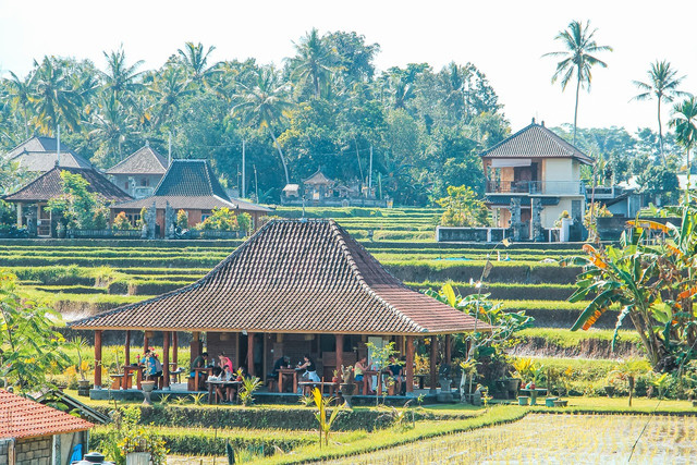 Foto: https://cdn.pixabay.com/photo/2020/04/30/06/30/paddy-field-5111605_1280.jpg