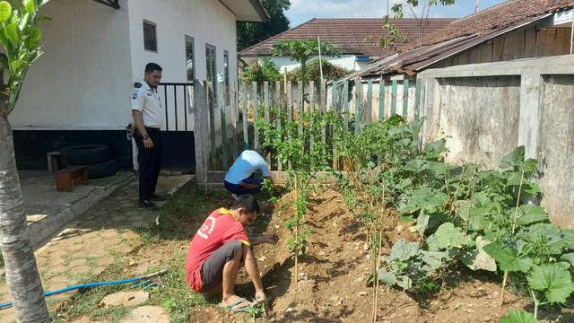 Dari Brandgang Jadi Lahan Produktif Rutan Banjarnegara Hidupkan Ketahanan Pangan