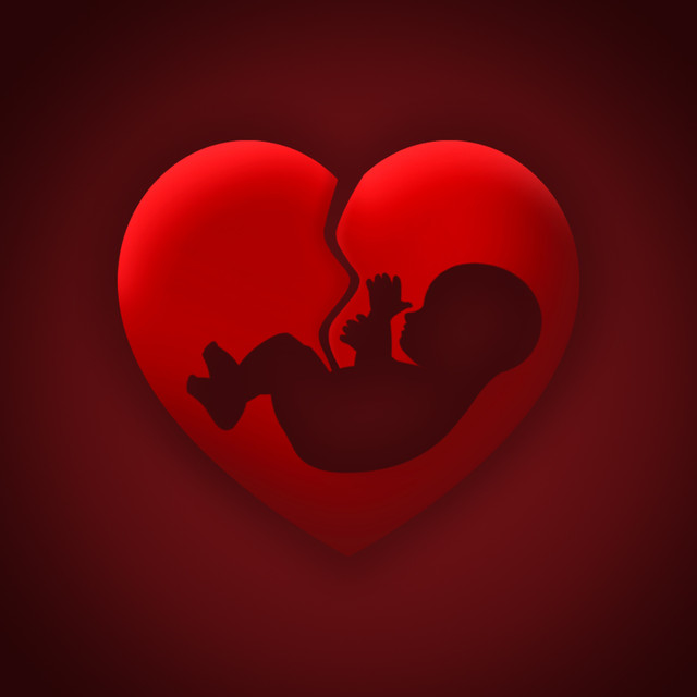 Ilustrasi Aborsi ( Ilustrasi : pixabay.com/id )
