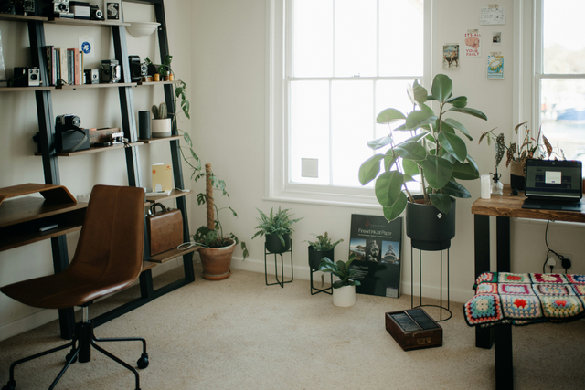Cahaya matahari dan tanaman hijau bukan sekadar penghias ruang kerja, keduanya ikut menentukan seberapa lama otak bisa bertahan fokus. (Foto oleh Annie Spratt di Unsplash)