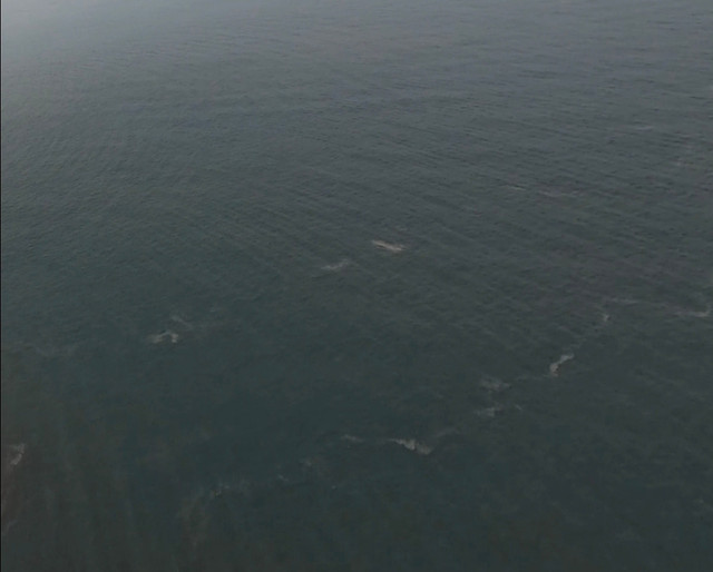 Benda putih yang terekam drone diduga mirim kapal di sekitar Anak Gunung Krakatau. dok Andrea Ramadhan.