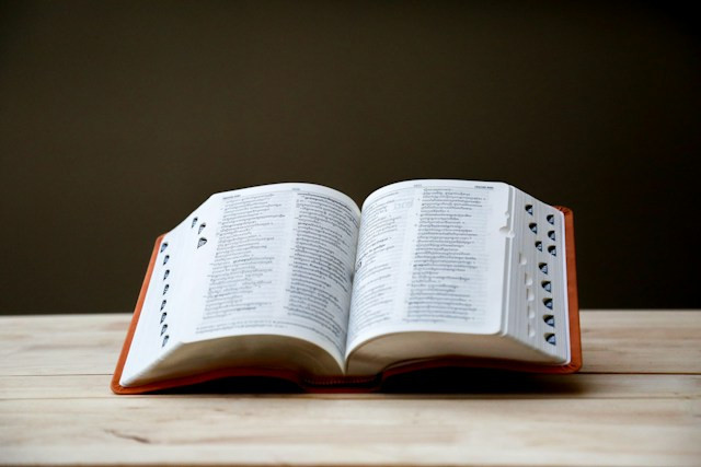 Ilustrasi bahasa latin adalah.Foto: Pisit Heng / Unsplash