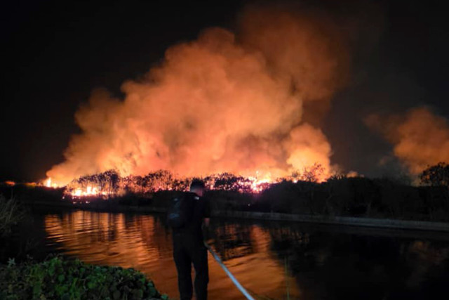 Kebakaran melanda lahan kosong di kawasan POJ City Semarang. Foto: Dok. Damkar Semarang