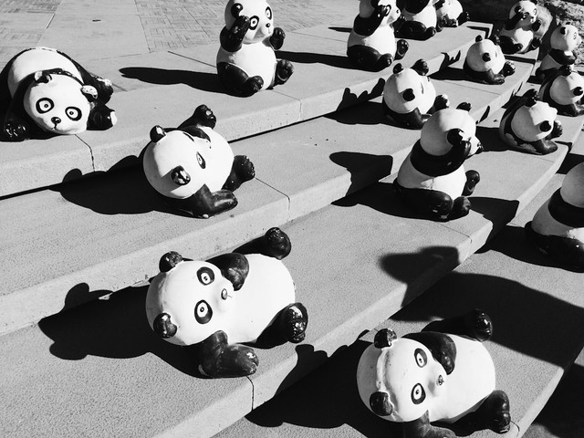 Ilustrasi cara dapat photocard hologram Haikyuu x Hello Panda. Foto: Unsplash.com/CHUTTERSNAP