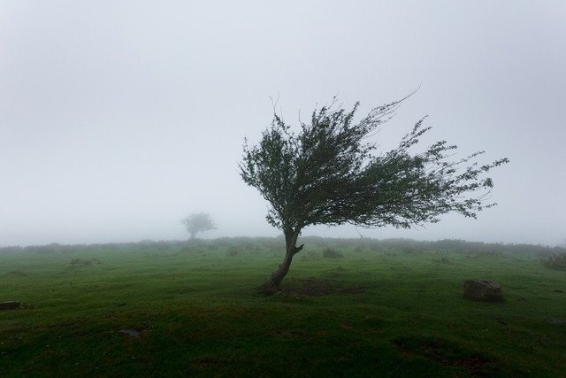Ilustrasi Wind Speed Adalah,Foto:Unsplash/Khamkéo
