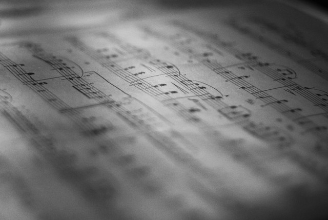 Ilustrasi Lirik Lagu Joseph Falling In Reverse, Unsplash/Liana S