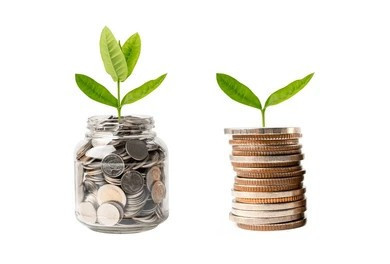 Ilustrasi pertumbuhan investasi dan tabungan. Foto: Shutterstock