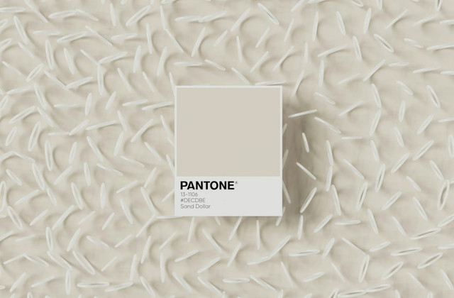 Ilustrasi Warna Taupe adalah. Foto: usnplash/Planet Volumes