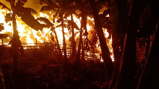Kebakaran di TPA Jatibarang Semarang. Foto: Dok. Istimewa